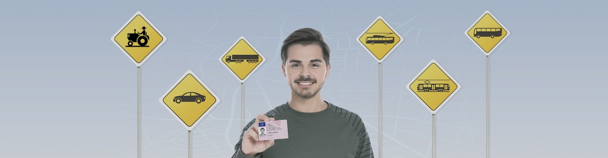 Permis pt viitor 2019